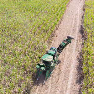 Colhedora de Cana-de-Açúcar