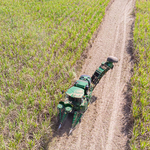 Colhedora de Cana-de-Açúcar